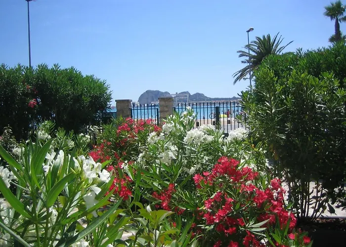 Du Golfe T3 En Front De